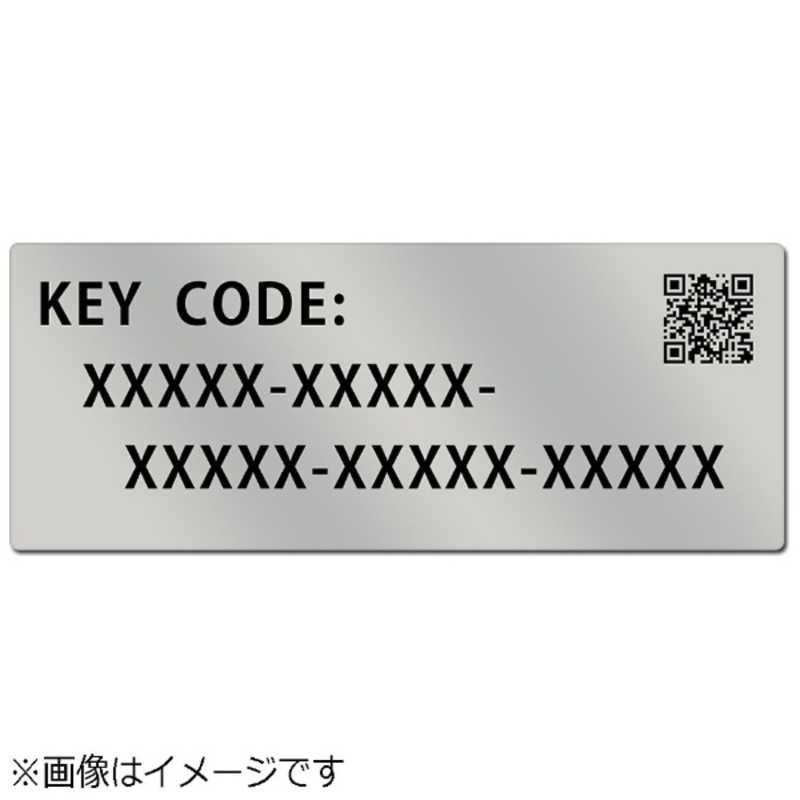 パナソニック　Panasonic　アップグレードソフトウェアキー　DMW‐SFU1