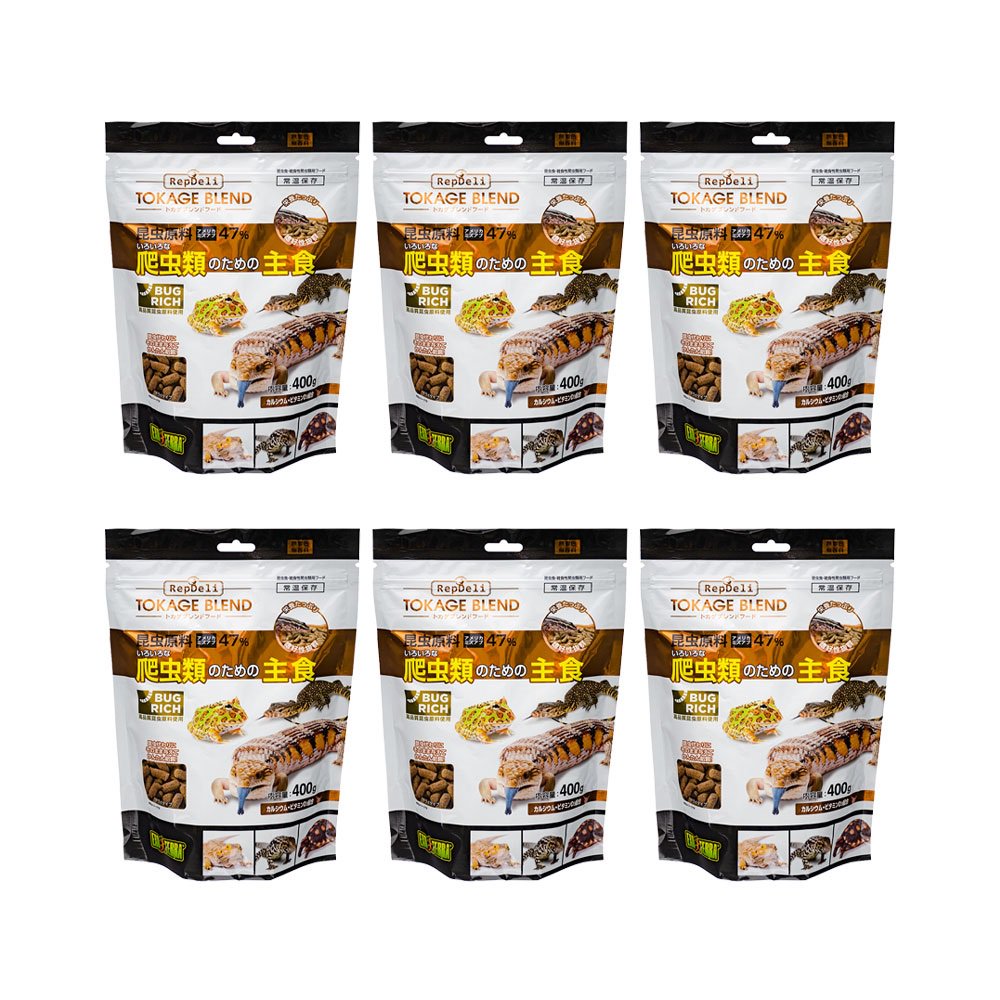 ＧＥＸ　エキゾテラ　トカゲブレンドフード　４００ｇX６袋　ＣＲＣ17―20―30―20―00