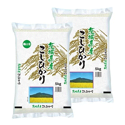 令和6年産 茨城県産 コシヒカリ 精米 5kgX2袋 お米　米屋直送（沖縄離島は発送不可)　令和6年産　こしひかり 白米 精米 新しいお米 お米 ギフト お米
