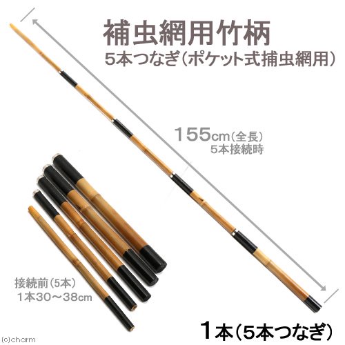 ５本つなぎ（ポケット式捕虫網用）全長１５５ｃｍ　捕虫網用竹柄　志賀昆虫　虫取り網　昆虫採集　ポケット式　ＣＲＣ18―79―05―30―00 4,984円