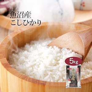 Qoo10] 新米 20kg 無洗米 新潟県産コシヒ : 米・雑穀