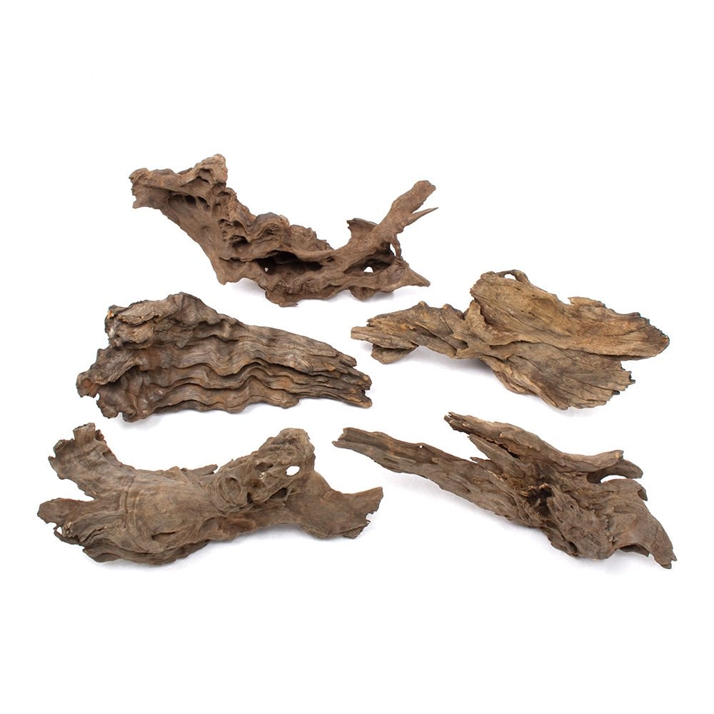 形状お任せ　煮込み済み　ウェーブウッド　Ｍサイズ（約２５ー３５ｃｍ）　５本　ＣＲＣ21―10―20―20―00