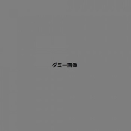 ナカムラ商事 屋根違い三社(大)