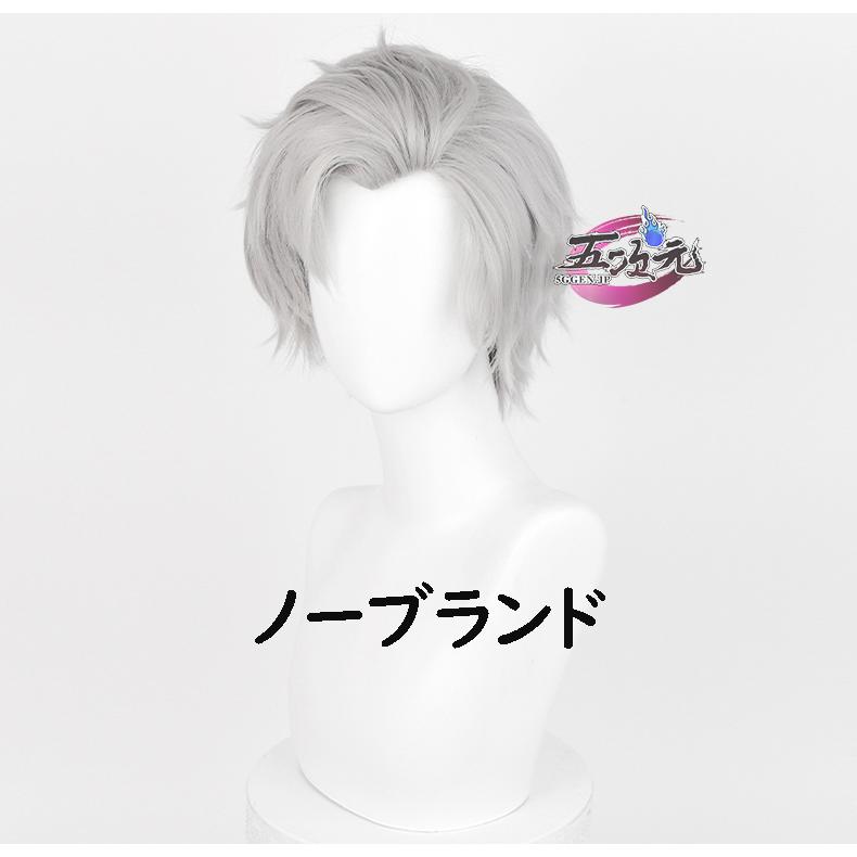 【Q10最安値】五次元　恋と深空　コスプレ　シン　ウィッグ