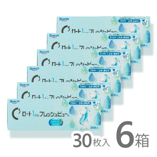 ロート1day フレッシュビュー リッチモイスト2 ワンデー 30枚入り 6箱 近視用 遠視用 クリア ロート
