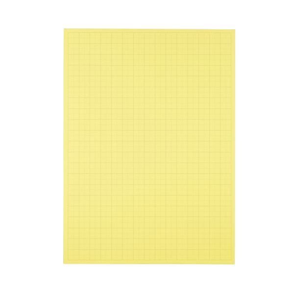 （まとめ） TANOSEE 模造紙（プルタイプ） 本体 7881085mm 50mm方眼 クリーム 1ケース（20枚） 5セット
