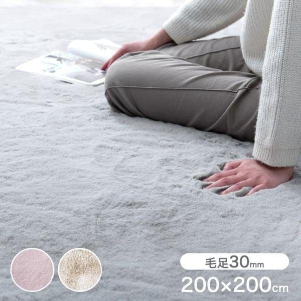 ラグ カーペット 洗える ラグマット 長方形 おしゃれ 厚手 ラビットファー 調 200×200 ふわふわ ふかふか マット ファー 無地 冬 あったか 15,539円