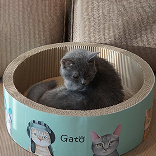 TF005ガトファミリービッグサークル円形猫スクレチョ44cm /韓国配送/ペット用品 5,822円