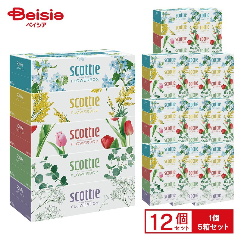 スコッティ ティシュー フラワーボックス5箱パック×12セット(1箱500枚(250組)×12個