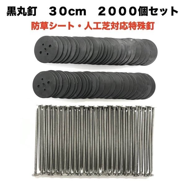 黒丸釘セット 黒丸板2000枚+30cm釘2000本セット 防草シート 人工芝 押さえ用 特殊釘