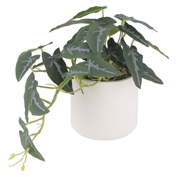 フェイクグリーン アロカシア セラミックポット