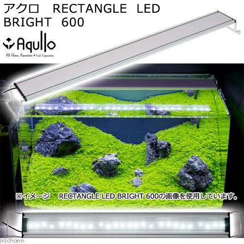 アクロ　ＲＥＣＴＡＮＧＬＥ　ＬＥＤ　ＢＲＩＧＨＴ　６００　３２５０ｌｍ　水槽　照明　熱帯魚　アクアリウム　ライト　６０ｃｍ　ＣＲＣ10―15―10―40―10