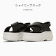 シャイニーブラック