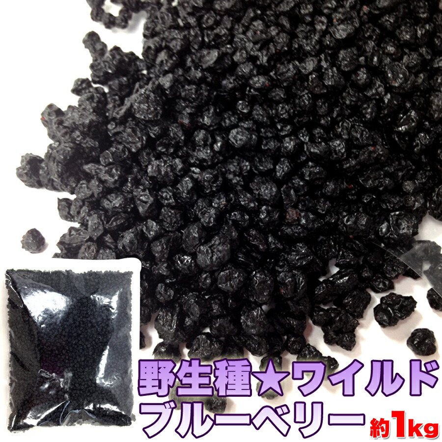 ワイルド ブルーベリー 1kg 大容量 野生種 業務用 アメリカ産 北米産 アントシアニン 簡易包装 ドライフルーツ 果物 フルーツ 無漂白 添加物 香料 着色料 一切不使用 大量 お徳用 訳あり