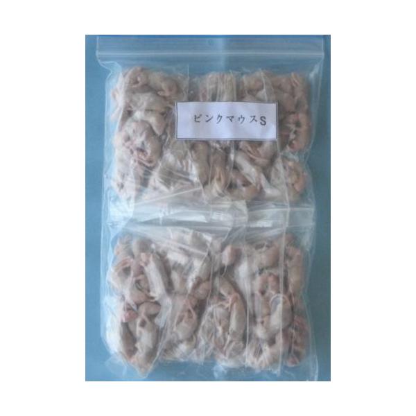 冷凍ピンクマウスS (約2.5cm) 500匹入り【クール便発送】 両生類 猛禽類 爬虫類 肉食 肉 ヘビ トカゲ マウス ネズミ ラット 鼠 ねずみ エサ 餌 フード 25,830円