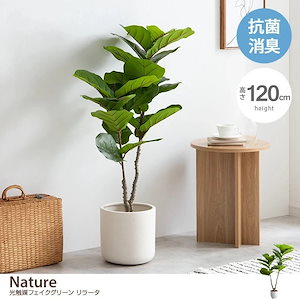 ナチュレ 観葉植物 リラータ カシワバゴムの木 カシワバゴムノキ フェイクグリーン 人工観葉植物 インテリアグリーン 光触媒 空気清浄 消臭 抗菌 防汚 ホルムアルデヒド分解 おしゃれ