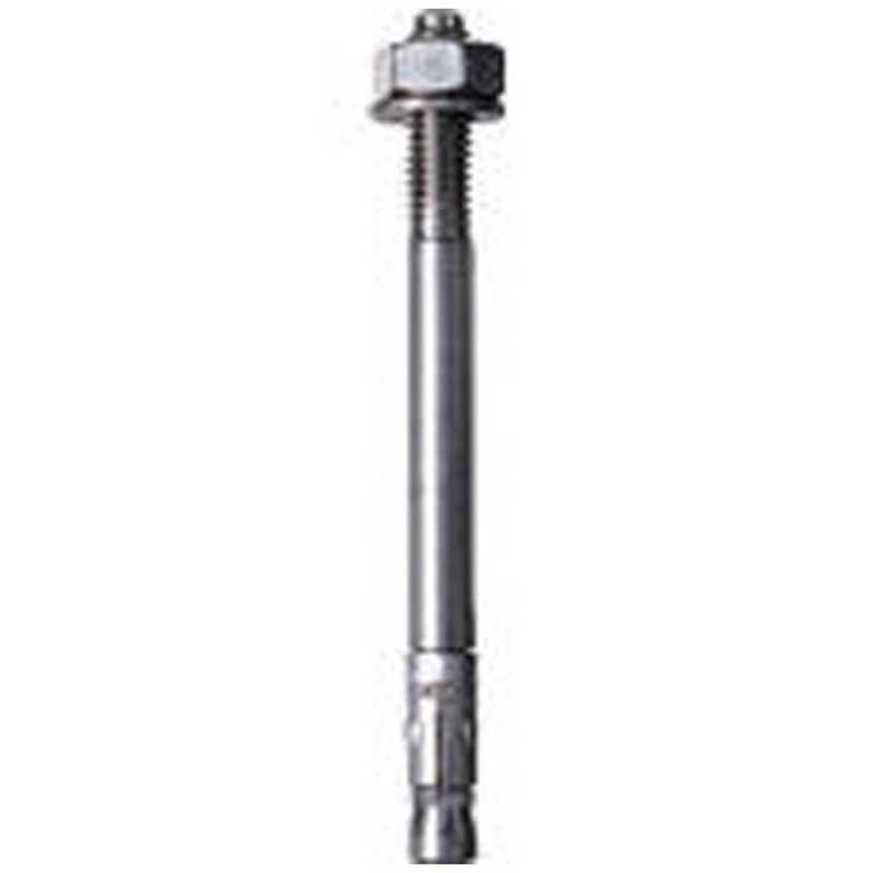 フィッシャージャパン　ボルトアンカー FAZ2 10/10 C4 10本入り　501430