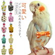 おしっこパッド フライトスーツ ペット インコ おむつ インコ鳥 服 オムツ フン ハーネス 鳥用おむつ リボン 小鳥 インコの服