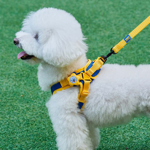 [フェスルーム] 3in1 コンフォート 2.0 フルセット (X型 ハーネス+リッシュ セット) (L) 犬専用 圧迫のない 胸紐 首紐 リード