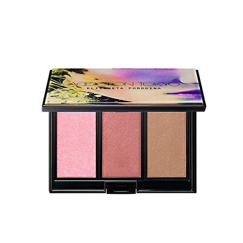 ホリデーブラッシュ パレット アンノウン ファミリア #101 Never Ending アイシャドウメイクアップキット ネコポス