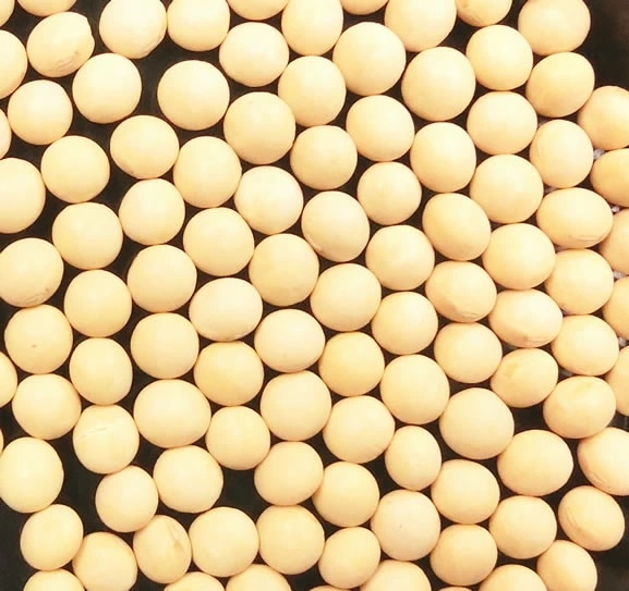 北海道産大豆2.6　30kg　(北海道産とよまさり)