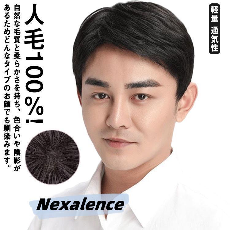 人毛100％! ウイッグ メンズ フルウィッグ 男性 かつら 自然 ナチュラル カツラ 黒髪 短髪 ビジネス用 白髪隠し 人毛 ショート ボリ