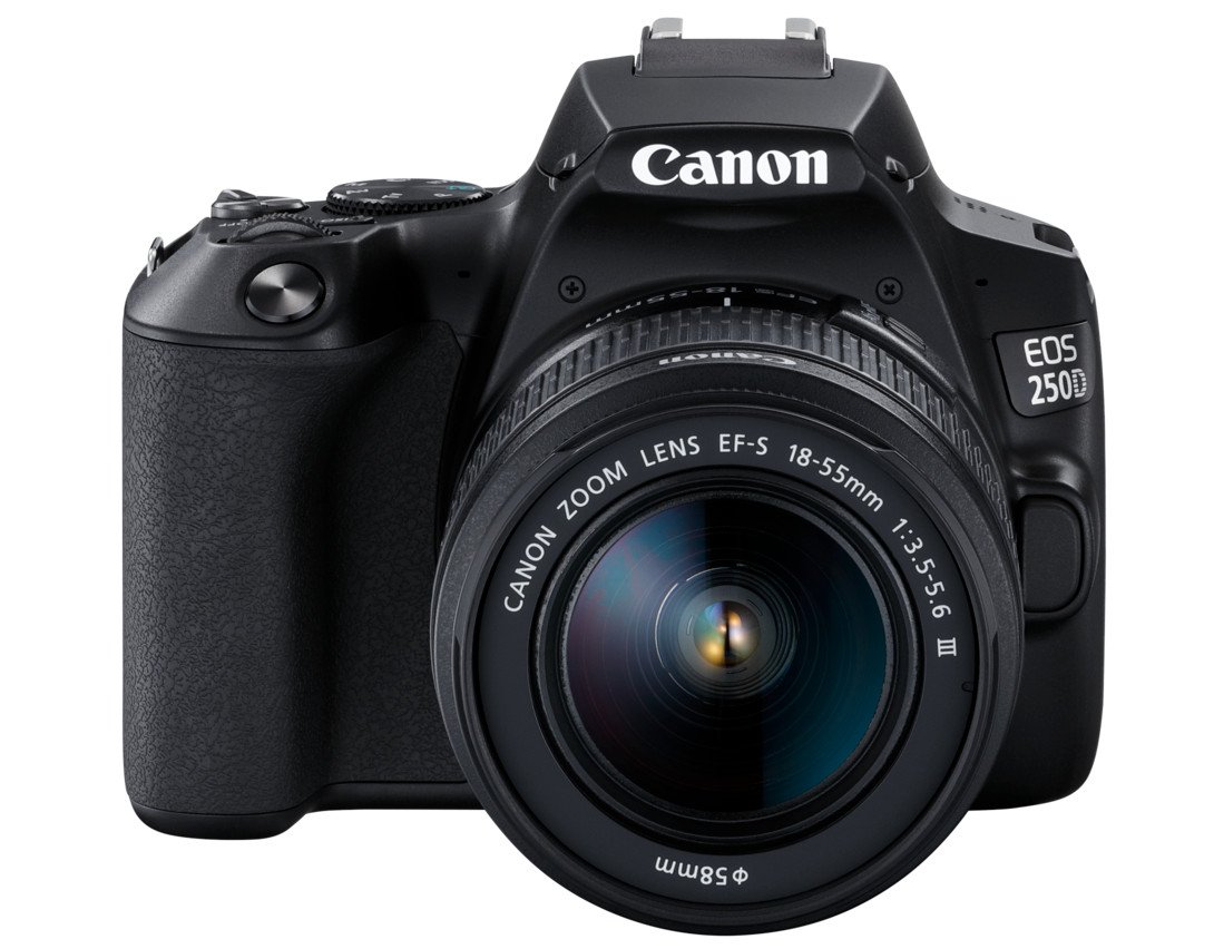 EOS 250D EF-S 18-55mm f/3.5-5.6 DC III レンズキットセット
