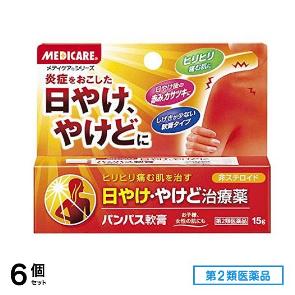 第２類医薬品 パンパス軟膏 15g 6個セット