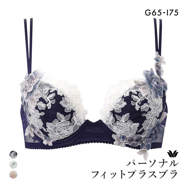 ワコール パーソナルフィットプラスブラ プレミアム 22series BXD422 22G 3/4カ