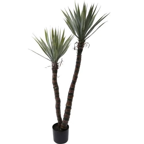 ポピー GLP-1525 GR アガベエレファンティペ 全長155cm 幅75cm 鉢:φ20cm・H18cm グリーン GLP1525 GR