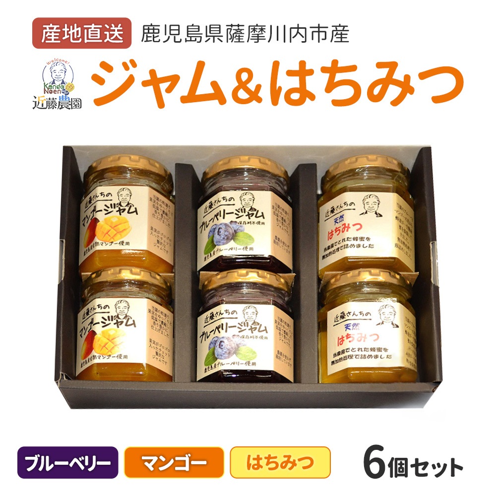 鹿児島県産 ジャム ( ブルーベリーマンゴー ) ＆ はちみつ 各2瓶 計6個 セット 近藤農園 無添加 近藤さんち ジャム 天然 蜂蜜 ハチミツ お取り寄せ グルメ 鹿児島 お土産 中元 お