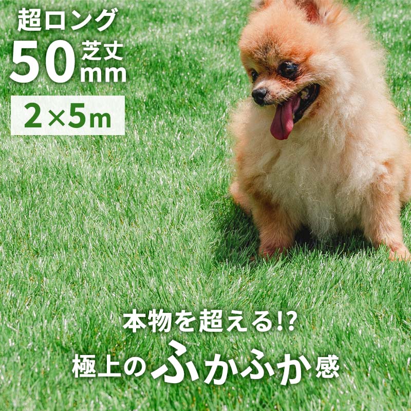 人工芝 ロール式 2mx5m 秋色 夏色 芝生マット UVカット加工 人工芝生 芝生 固定ピン 庭 テラス ベランダ 庭 ガーデニング DIY 屋上緑化 水はけ ガーデン 高密度パイル D