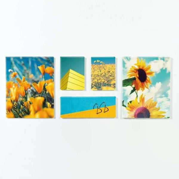 ファブリックパネル アートフレーム 飾り 情景 ナチュラル 壁掛け ウォールデコレーション 自然 緑 ひまわり 向日葵 青空 おしゃれ 映える 芸術 5枚セット