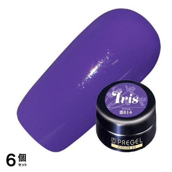 PREGEL(プリジェル) カラーEX PG-CE814 アイリス 3g 6個セット