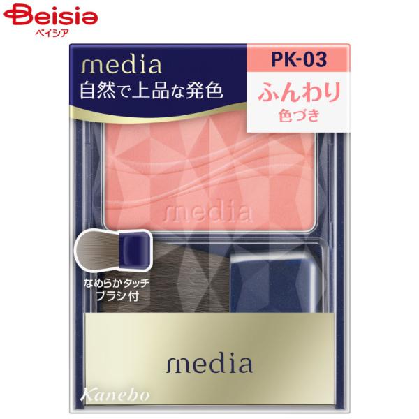 ���f�B�A �u���C�g�A�b�v�`�[�NS PK-03