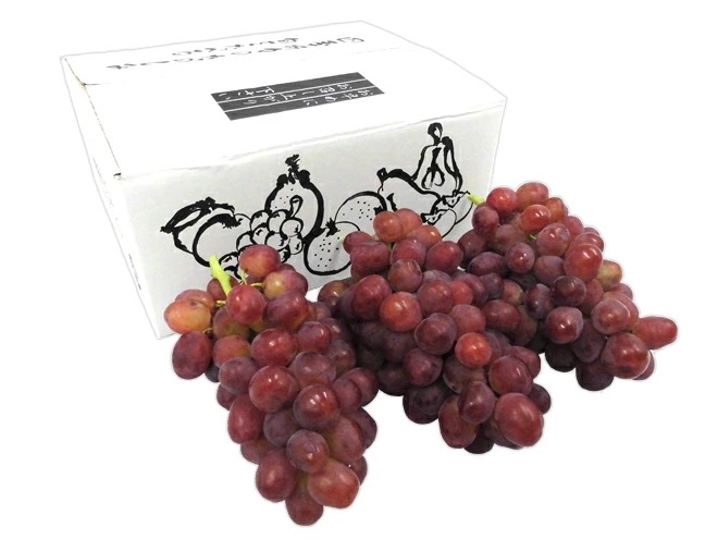 =山梨産 甲斐路ぶどう=秀品 3-5房 約2kg 化粧箱 予約 9月中旬以降 6,943円