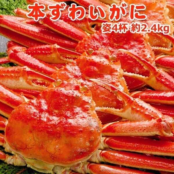 本 ズワイガニ 姿 2ハイ2個 約2.4kg 数量限定