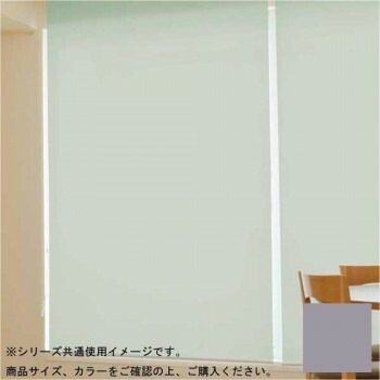 タチカワ ファーステージ 防炎ロールスクリーン ダークブラウン 幅90x高さ180cm プルコード式 TR-1053 スレートグレー