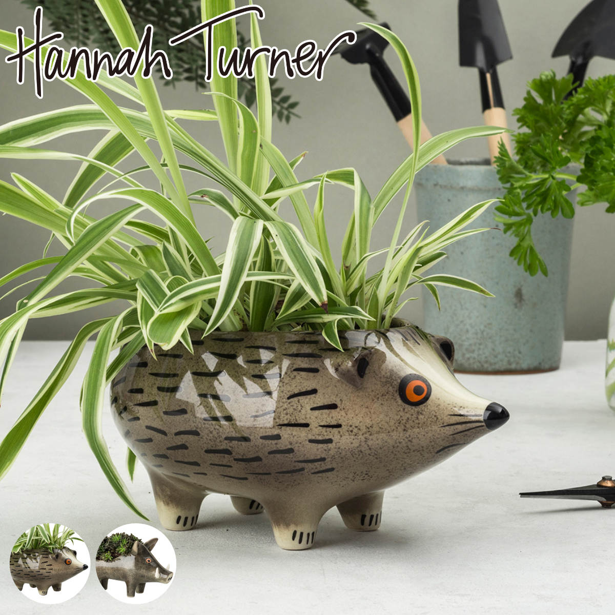 プランター Hannah Turner ハリネズミ イノシシ ハンナターナー 鉢植え プラントポット ミニポット アニマル 動物 観葉植物 インテリア 多肉植物 植物 ハンドメイド おしゃれ