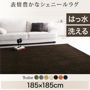 表情豊かな撥水機能付きシェニールラグ [claro]クラーロ 185x185cm アイボリー