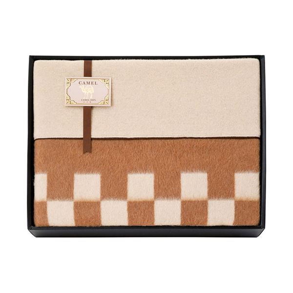 ギフト）素材の匠 オーガニックコットン綿毛布2枚セット G-A