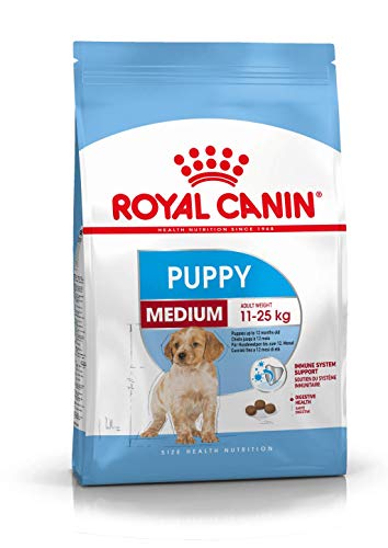 ロイヤルカナン SHN ミディアム ジュニア 犬用 10kgドライフード