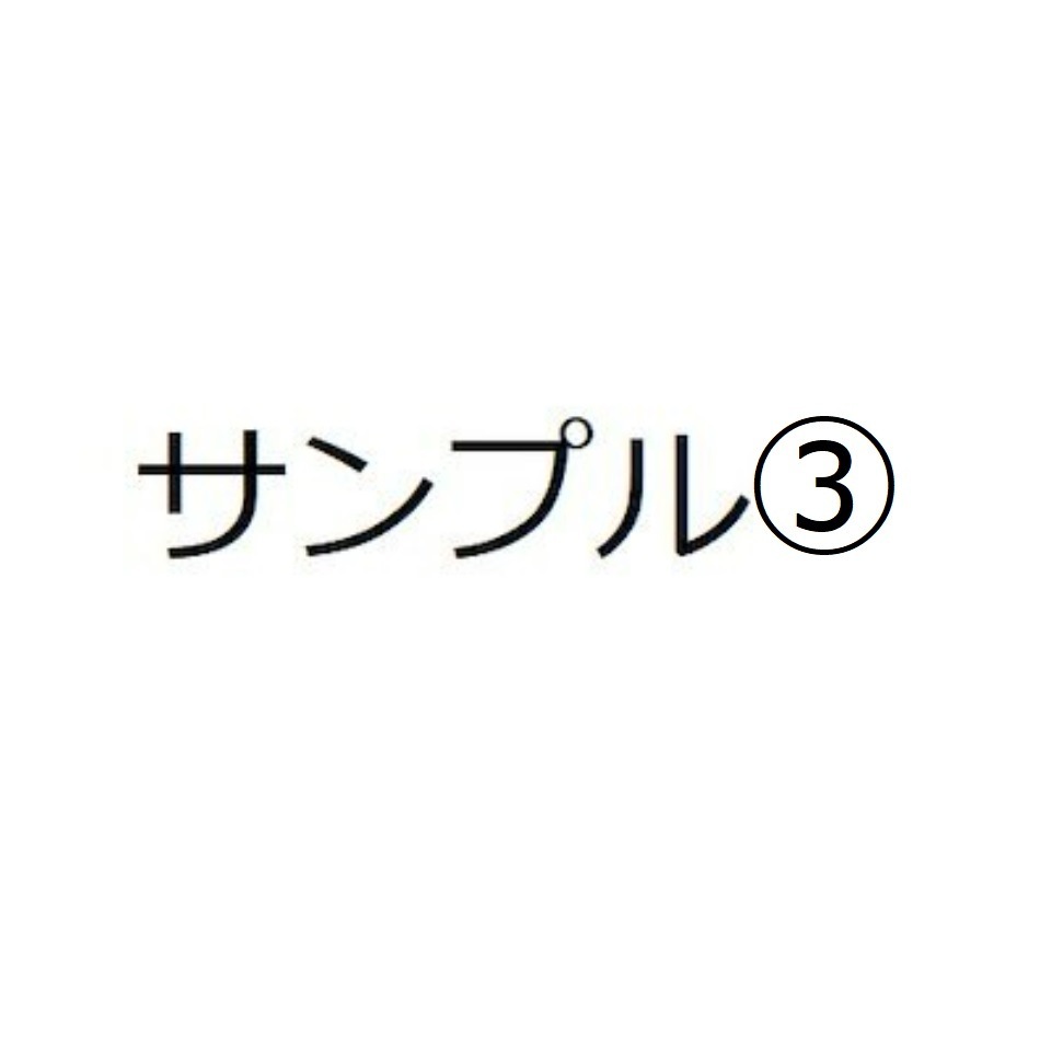 Qoo10セミナー商品3