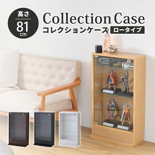 JKインターナショナル MJ-011 NA コレクションケース ロータイプ ナチュラル