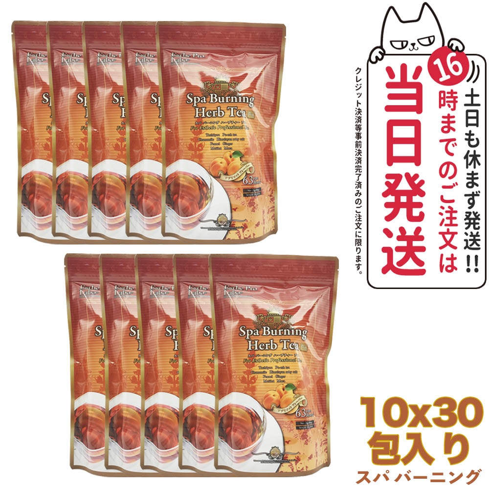 【10袋セット 賞味期限2026/01】スパ バーニング ハーブティー プロ 30包 Esthe Pro Labo ダイエット スッキリ おいしい オーガニック ハーブティー