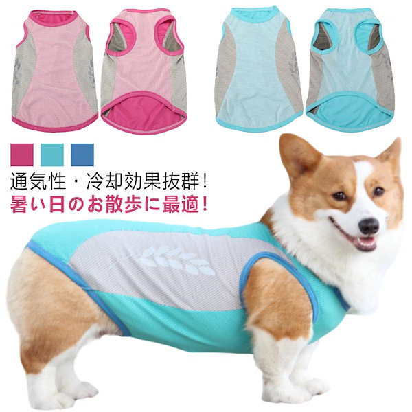 コレクション 犬 服 濡らして