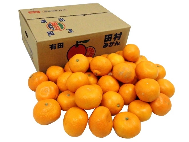 和歌山有田産 =田村みかん= ちょっと訳あり L-LL 約5kg 産地箱 予約 11月末以降