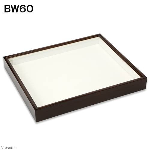 バードウィング製　ドイツ型標本箱　ＢＷ６０（幅５０．７X奥行き４１．８X高さ６ｃｍ）　昆虫　蝶　甲虫　標本ケース　ＣＲＣ18―82―30―00―00