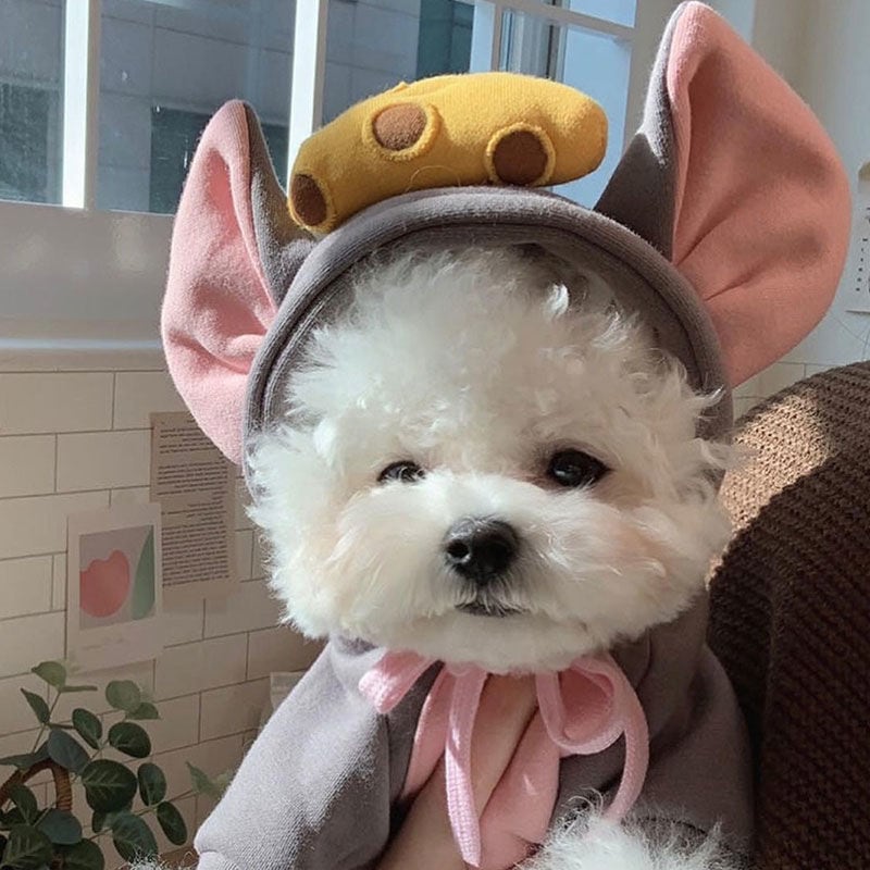 との犬服 テディボーミペットのコキシナレビーベア服 厚手 暖かい