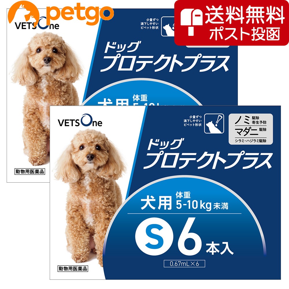 【ネコポス(同梱不可)】【2箱セット】ベッツワン ドッグプロテクトプラス 犬用S6本(動物用医薬品)